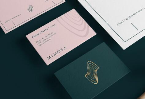 ����ȫ��VI��ư���ͼ