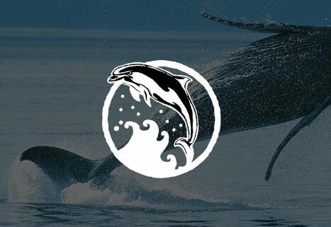 ����Ȫ��VI���